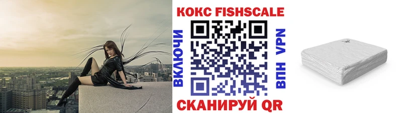 купить цена Советская Гавань КОКАИН Fish Scale