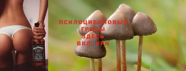 марки lsd Абаза