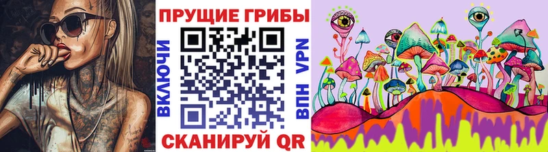 Псилоцибиновые грибы Cubensis  как найти закладки  даркнет телеграм  Советская Гавань 