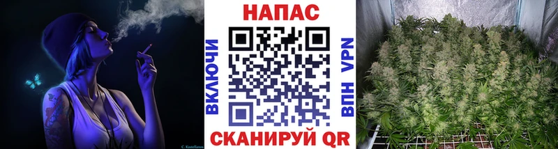 маркетплейс формула Советская Гавань Бошки Шишки Amnesia